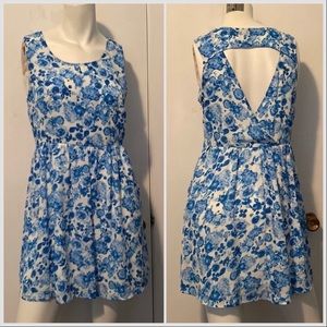 ☀️ Blue & White floral dress
